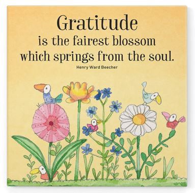 Affirmation Magnets - Give the gift of positivity