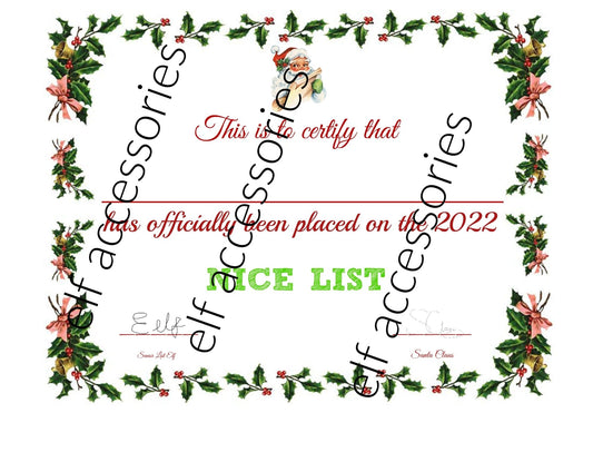 2022 Official Nice Certificate