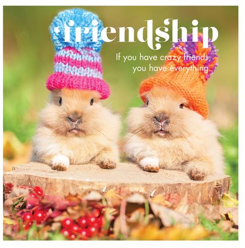 Friendship Card