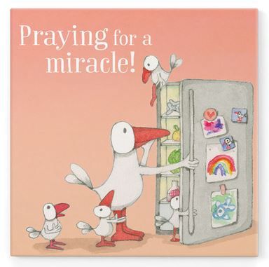 Affirmation Magnets - Give the gift of words - set 2
