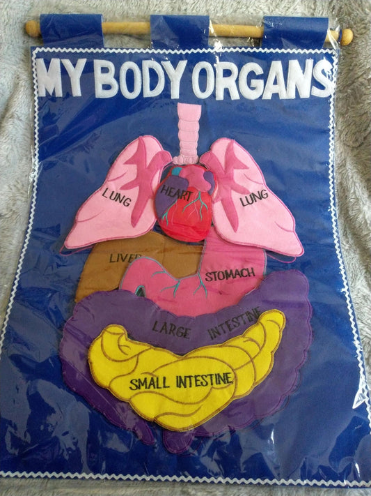 Educational Fabric Fun