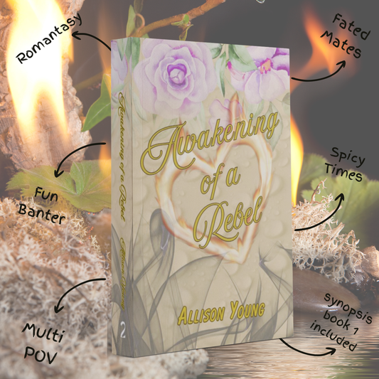 Awakening of a Rebel - book two Journeys